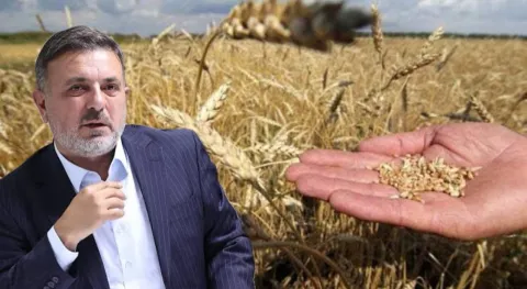 Haber Resmi
